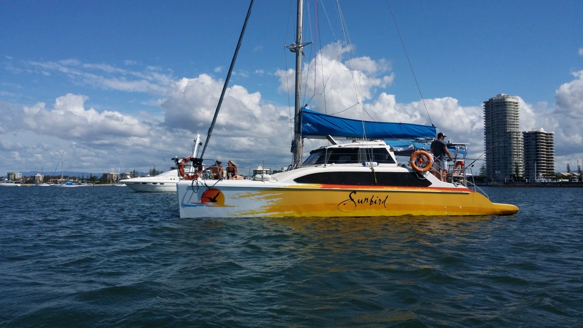 Sunbird — image 1